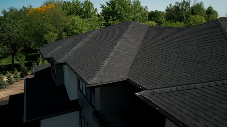 Best Metal Roofing Installation  in De Pue, IL